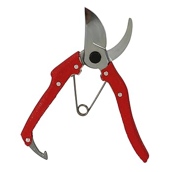 5本セット ニシガキ 剪定鋏 プロ200 200mm N-203 Amazon | ニシガキ 剪定鋏 プロ200 200mm N-203 | 園芸用はさみ